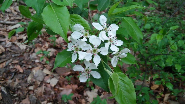 27693D4F571AD0B90E49CE