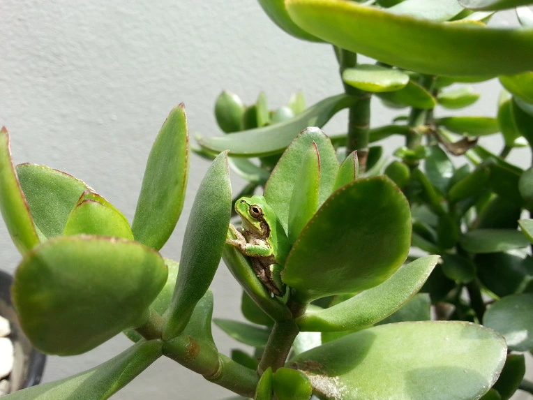 2627D24C56B024EA1CE155