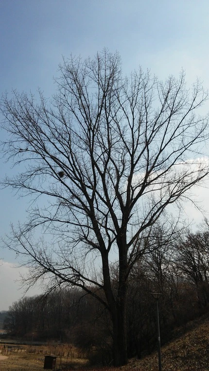 2313AF4C58B3665B1170AB