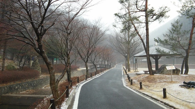 240BA9455502824B1CB412