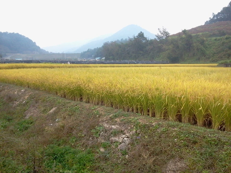 172B963E4E8DB5F812BD87