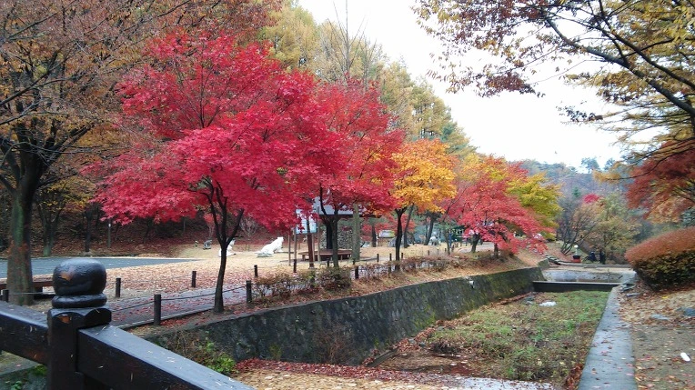 2418C83B563D84730B5FAD