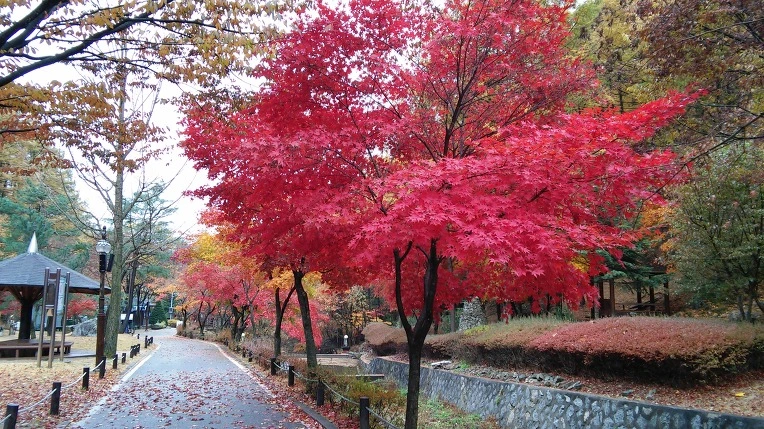 222E883B563D847009C432