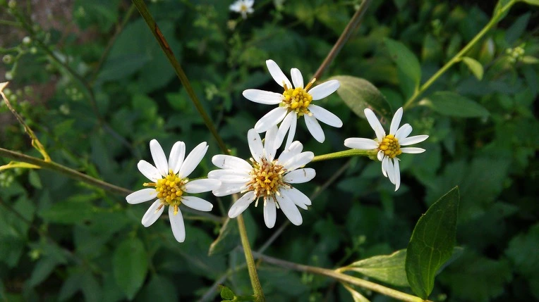 993E973359A7DCC40B9E21