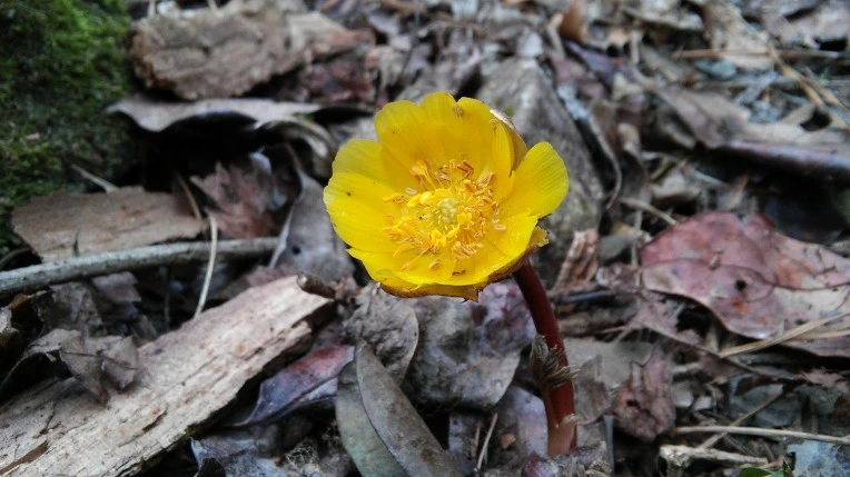 2622BB4056D1085A2BA97B