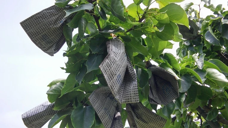 272076435757B5240A7BA8