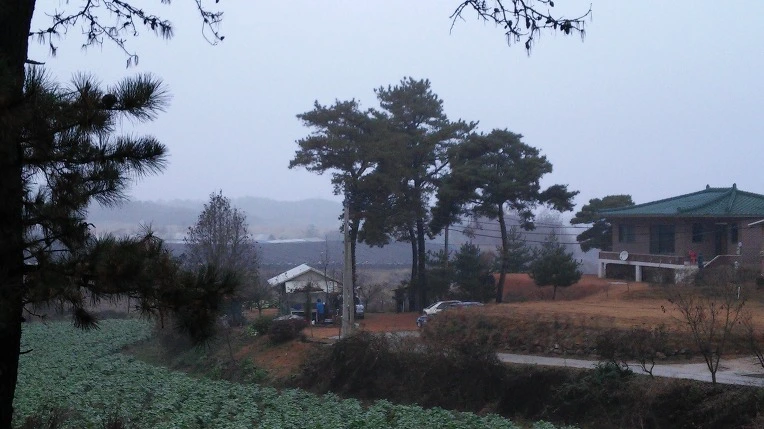 23074C4A564999AD253127