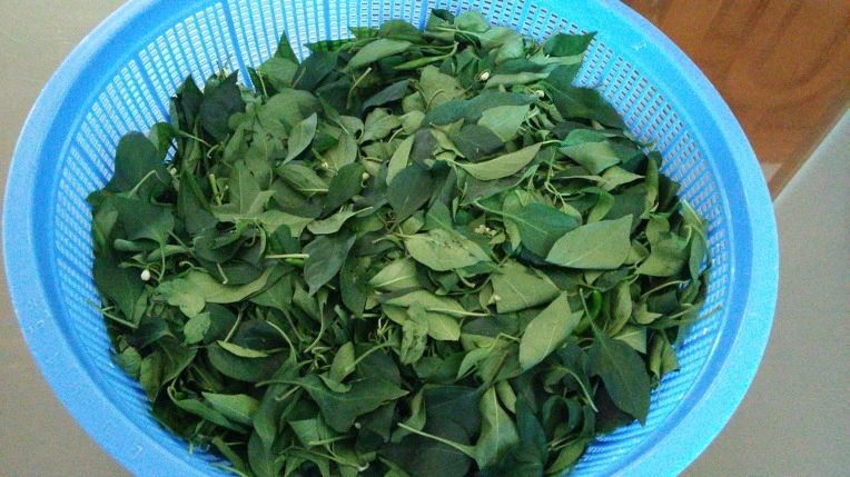 27288C4D57C7947D1F9962