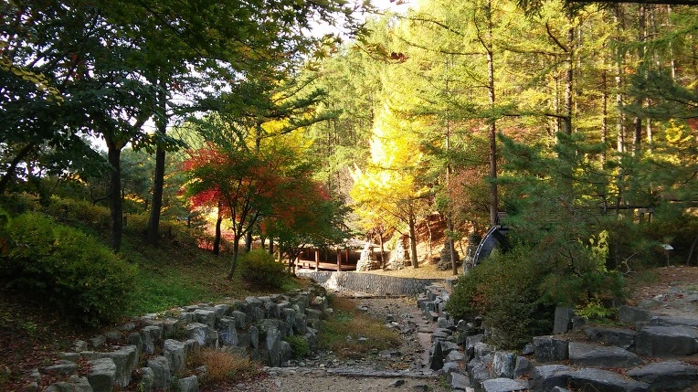 22394047568D017D25DD6D