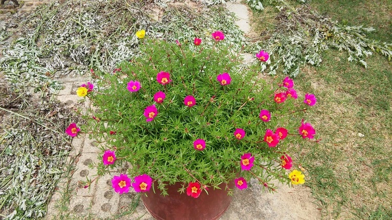 242D6A40575E413107D962