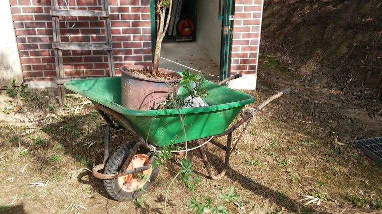 2445EC4156FC8D18090F60