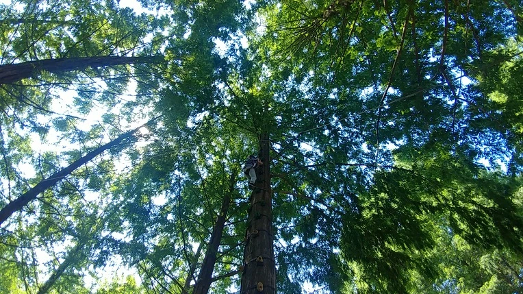 9972A83F5B57BE9D168DE0