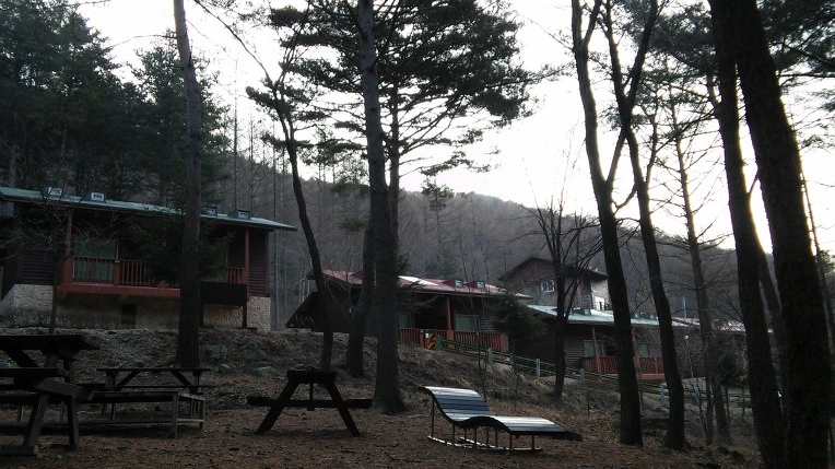 277E5B4D56DA7C24070546