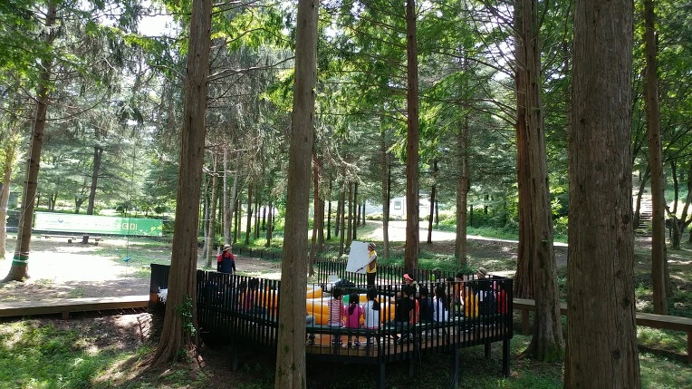 99A5A53D5B57C0F6203606