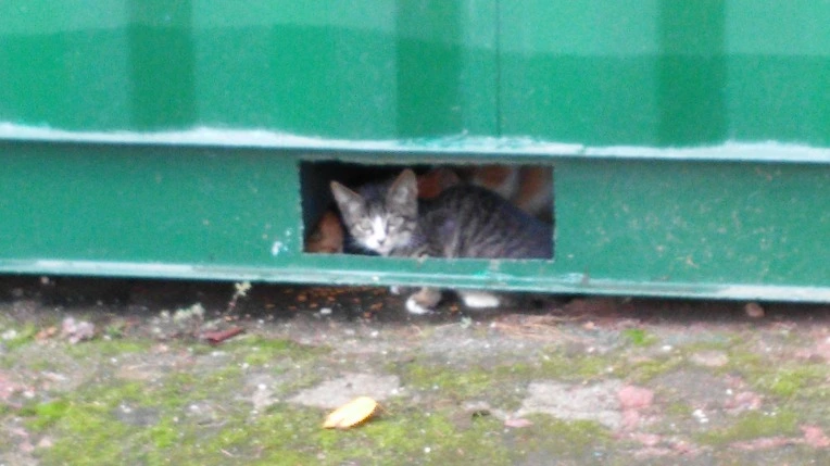 2275DB4A55DD42321A753A