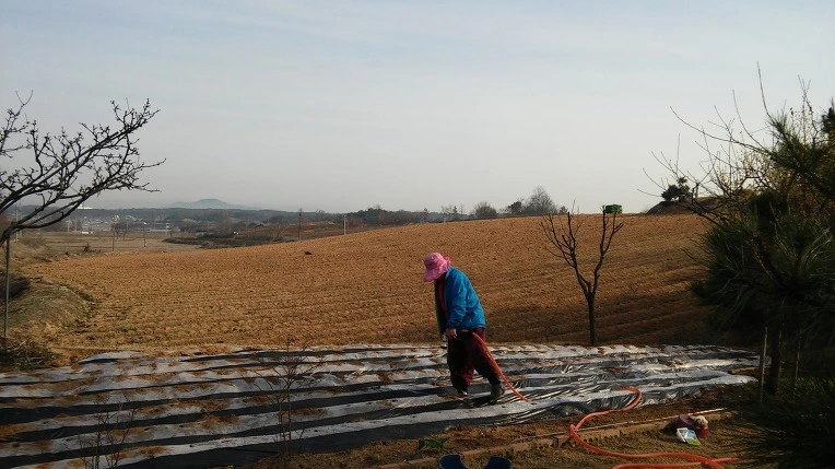 211C7E4256FC8CE71121EB