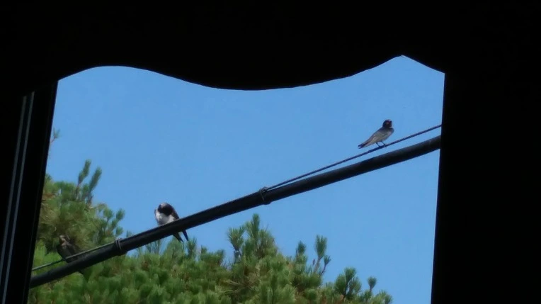 99993D465D467B27313B1C