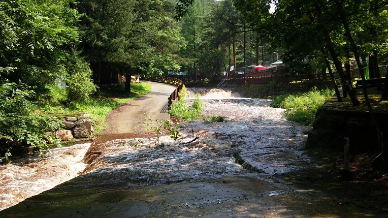 99B65533598F7B69170302