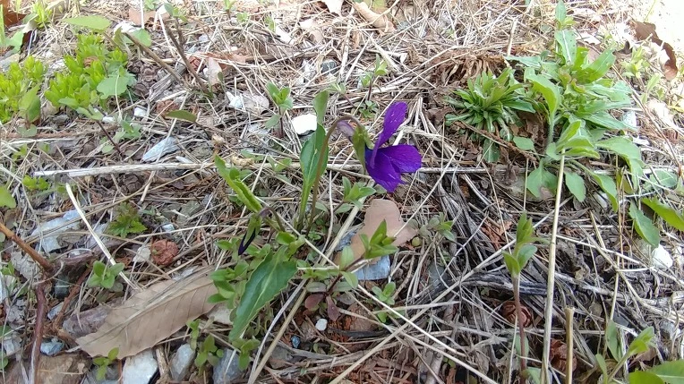 9946763B5AD54AD8146FA2