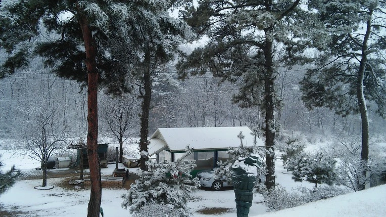 253ED73E56D10AD619826C