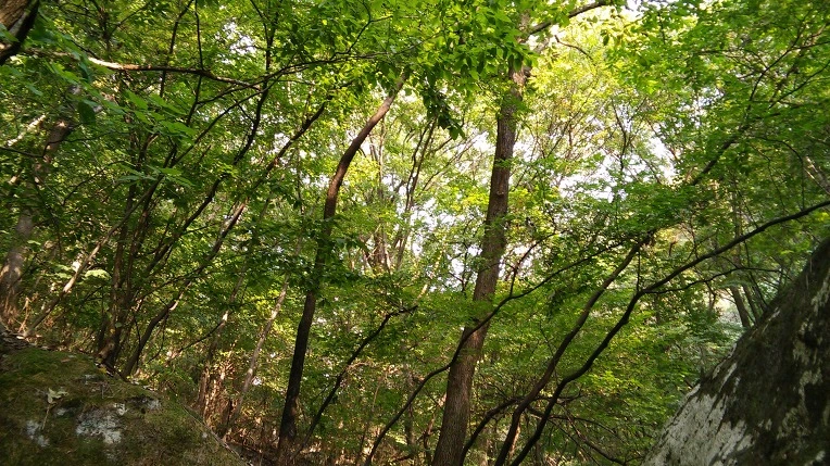 271E3A45560FBCF20ADA91