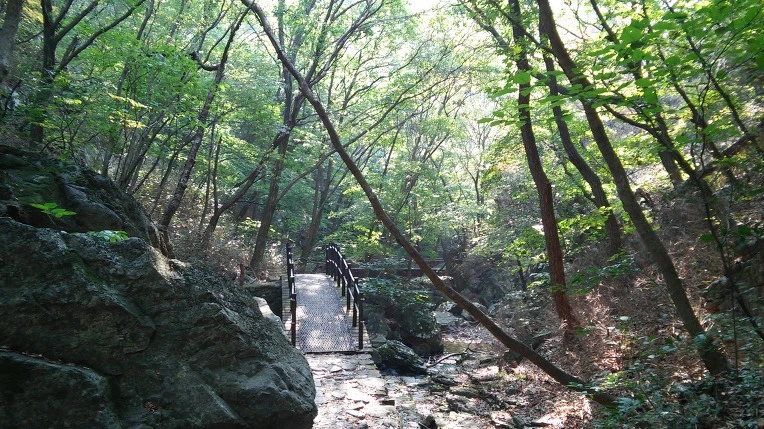 23349A42560FBC83300A2B