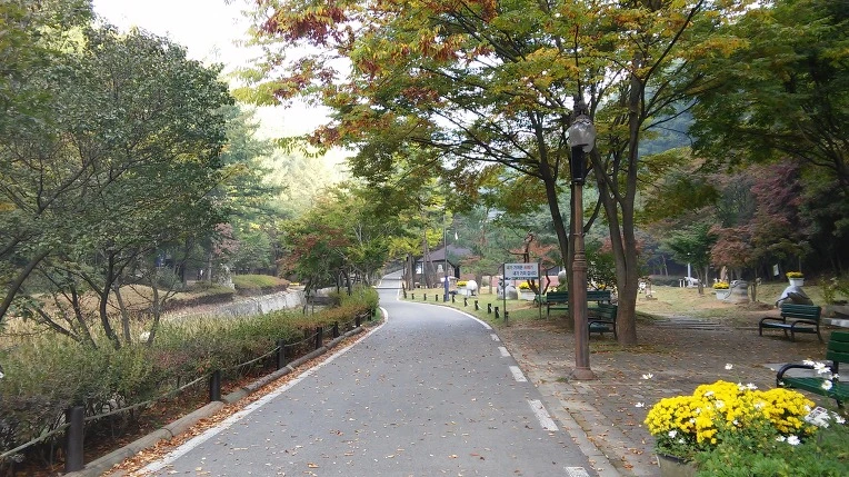 233E984D562051571C0C45