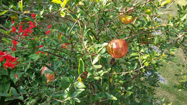 997F393359A7DC481C6545