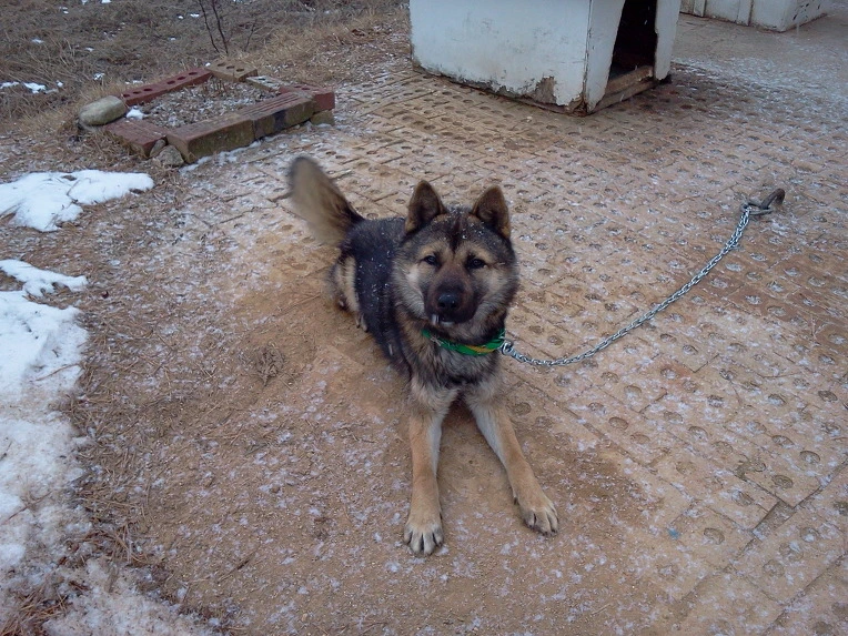 181559464F0621A8271ED6