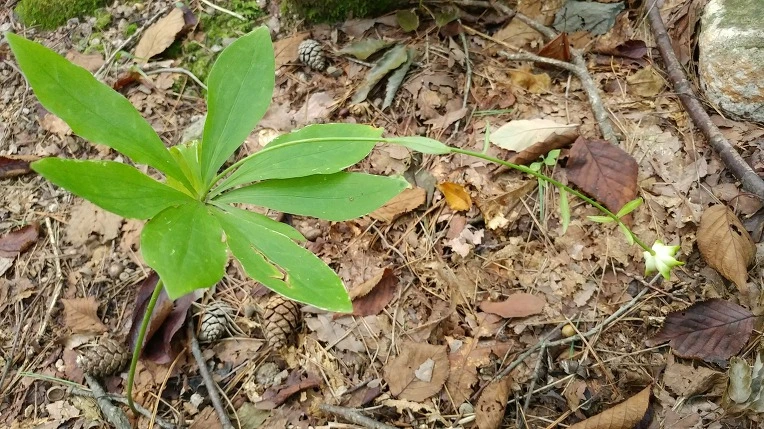 9927603D5DBE6AD52E6A19