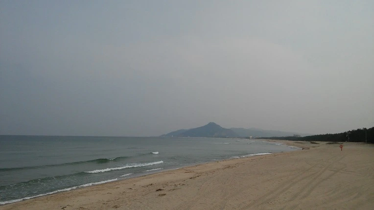 2502584F58D8DBD70D9DCD