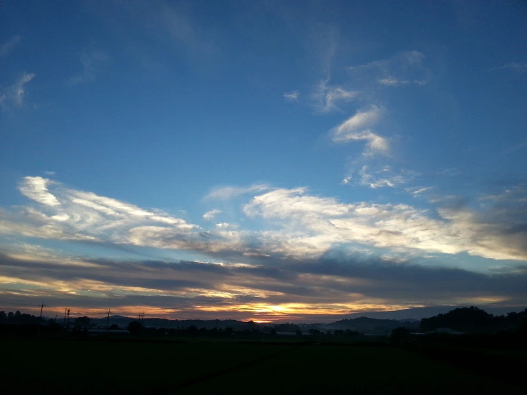 253B2A3A51EB4E5D315AF0