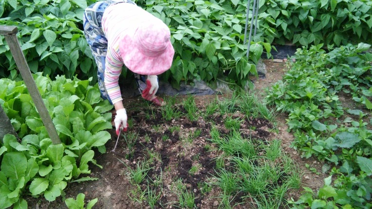 251B2733574A181231CFCB