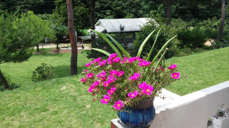 2543224D5795A18118A115