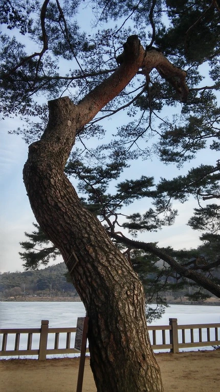 250A604456AD8CD114A809