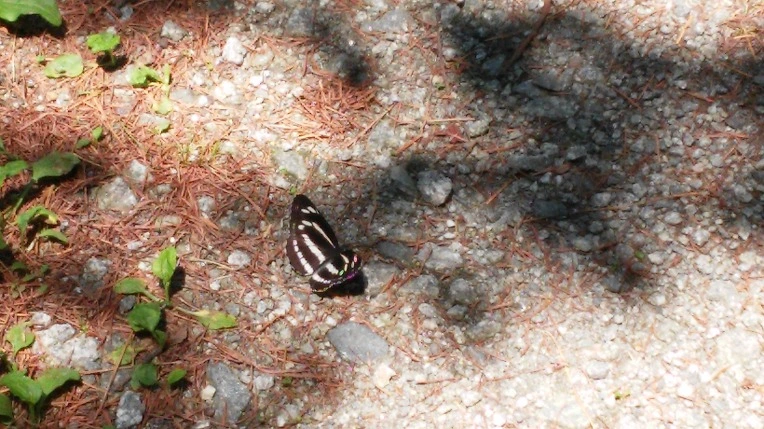 27165E435560254A10731E