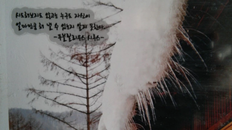 267EBC3956E0B43724C1E4