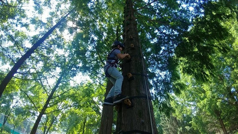 99CC3D3F5B57BE991DFFF0