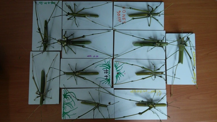 2244484A572480910A07DE