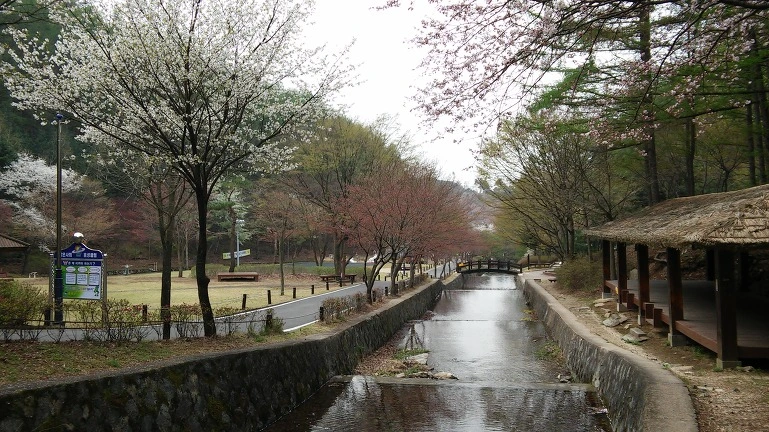 2146AB34564D202A068220