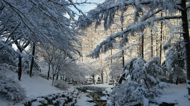 26710C38568CF95331F664