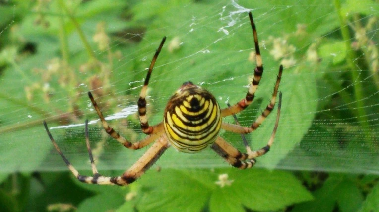 21268D4857982C60030574