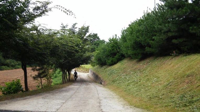 2515803657C398EC04B95E