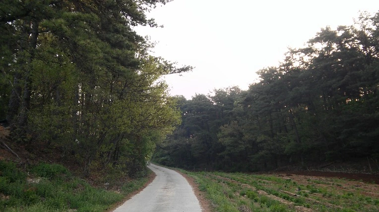 2707673B571E9C1F26726D