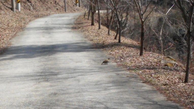 25116F4F58DC9A8B073891