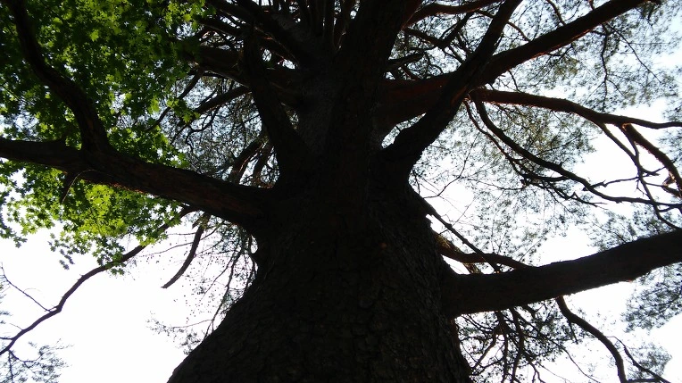 265E1F3C592B40E63F9308