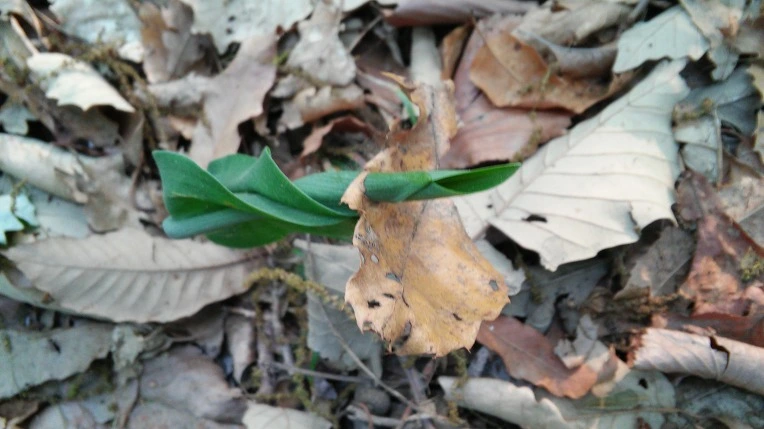 2103B7505722BCE51804E7