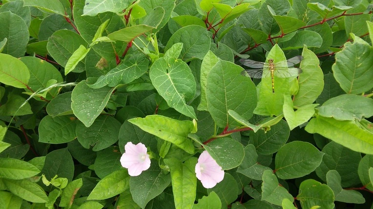 2276734E575E565E33CA01