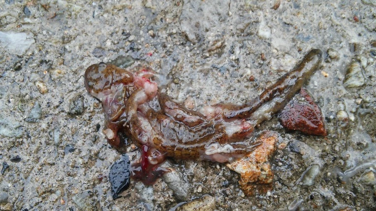 2157653E58D70B9B307F6C