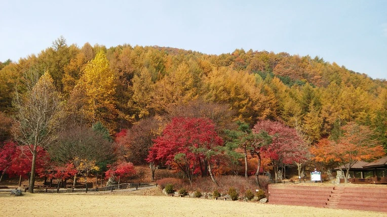 23617148563C46471633BF